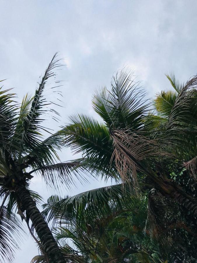 Chacara Recanto Paraiso Jarinu Exteriér fotografie