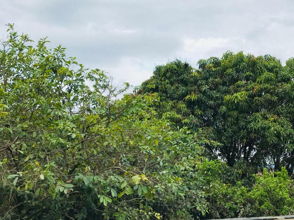 Chacara Recanto Paraiso Jarinu Exteriér fotografie
